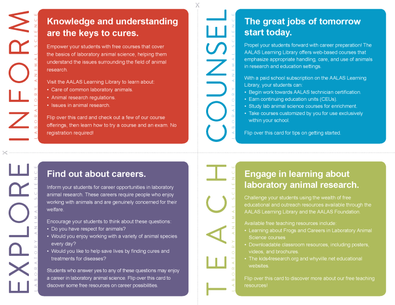 all marketing cards thumb