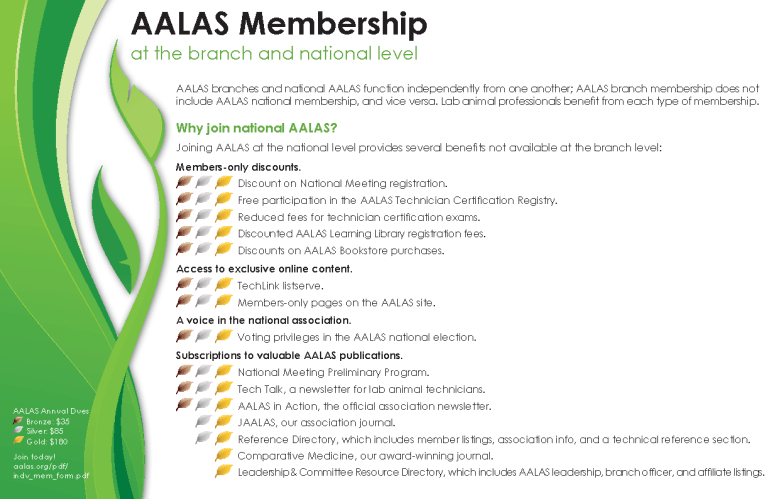 branch flyer half page thumb